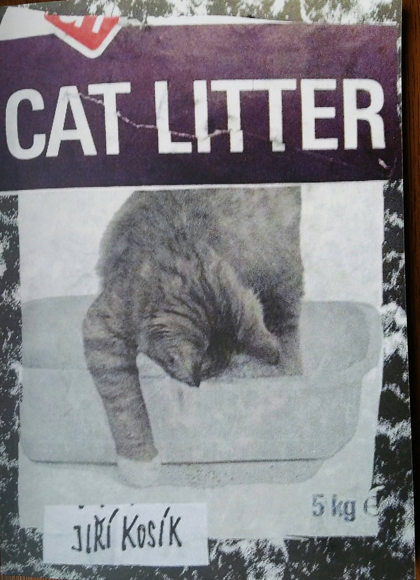 CAT LITTER