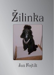 Žilinka