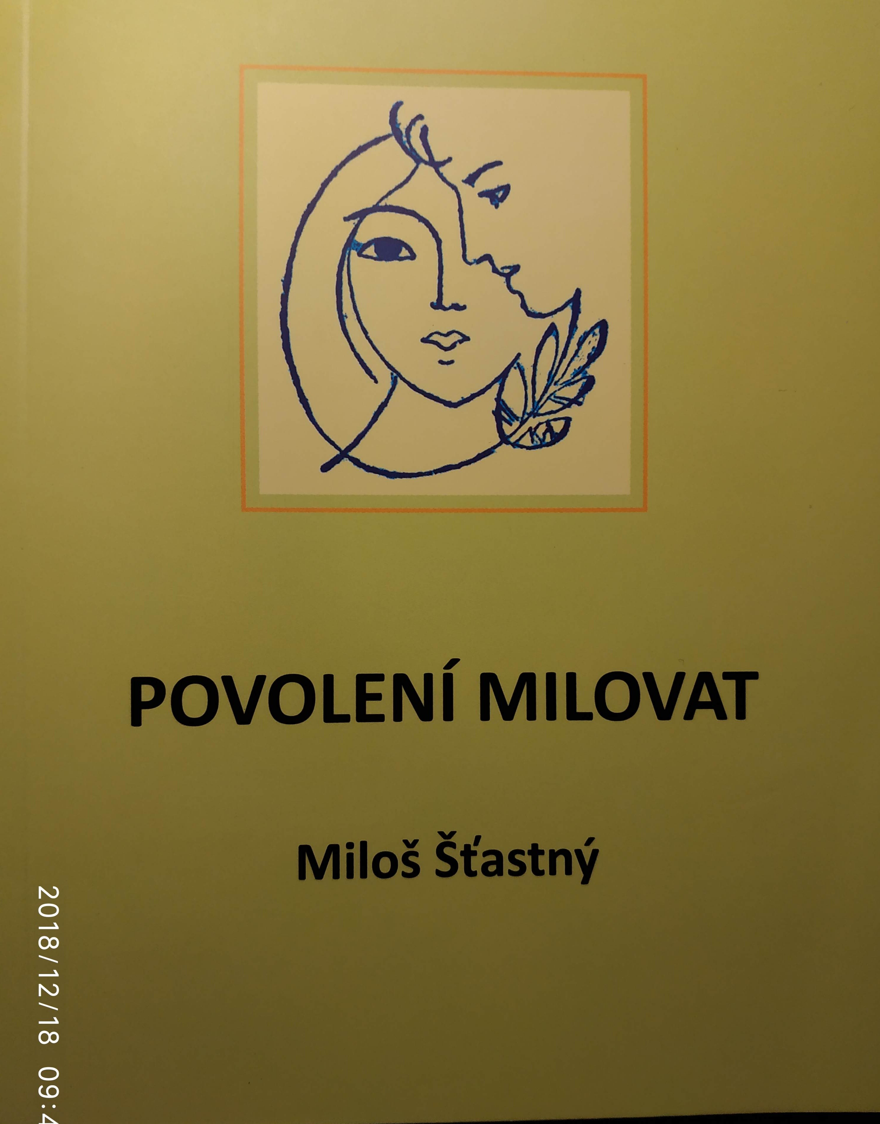 Povolení milovat