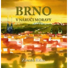 Brno v náruči Moravy