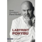 Labyrint pohybu